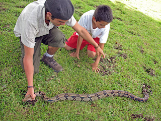 Erica Ridley in Costa Rica: Boa Constrictor