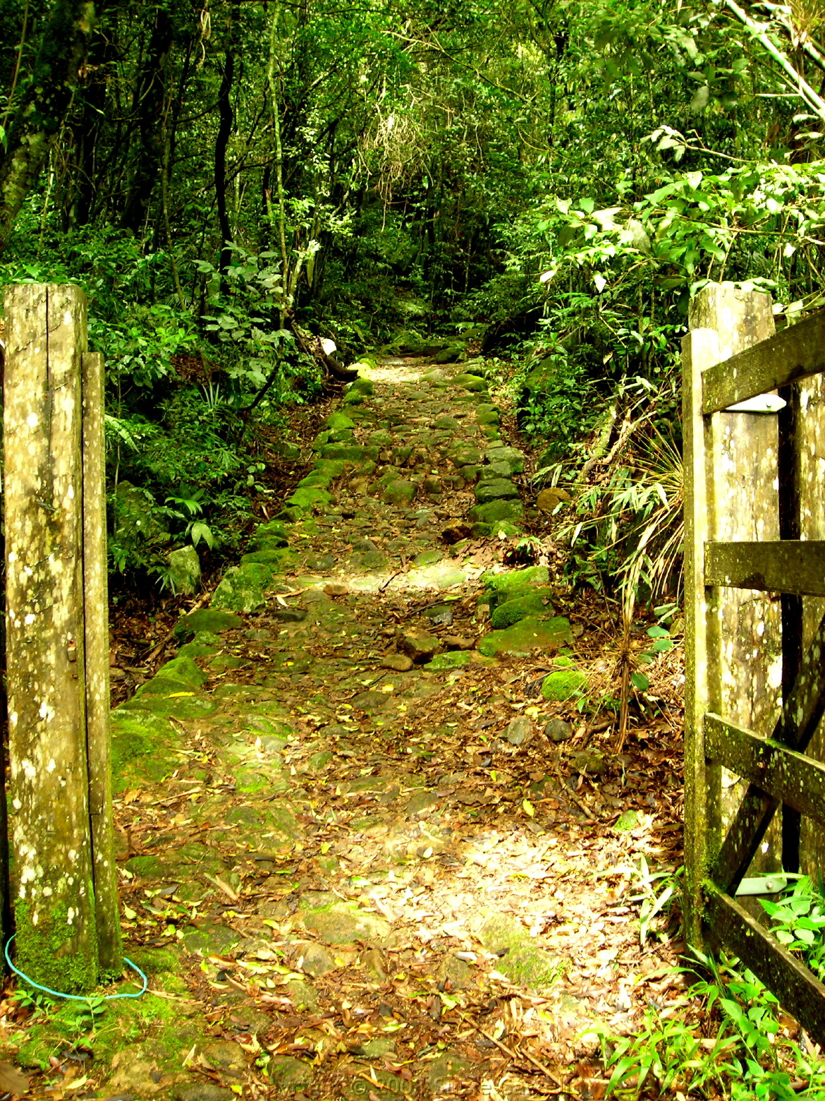 [entrance+pedre+do+sino+trail.JPG]