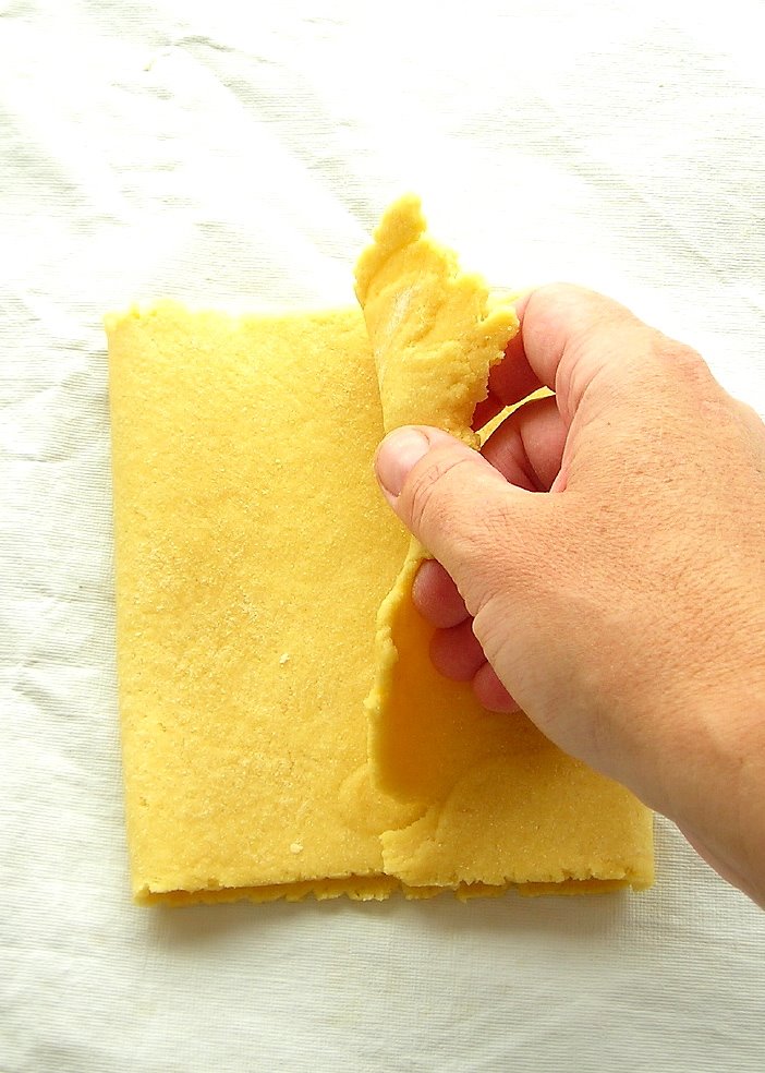 [folding+pasta+dough.JPG]
