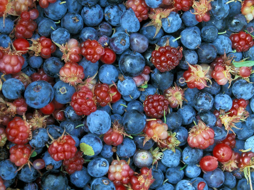 [berries.jpg]