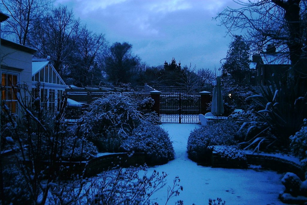 [The+Orangery+in+Snow.jpg]