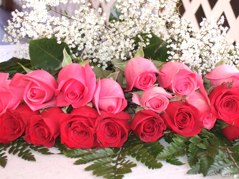 [Valentine+2008+roses.JPG]
