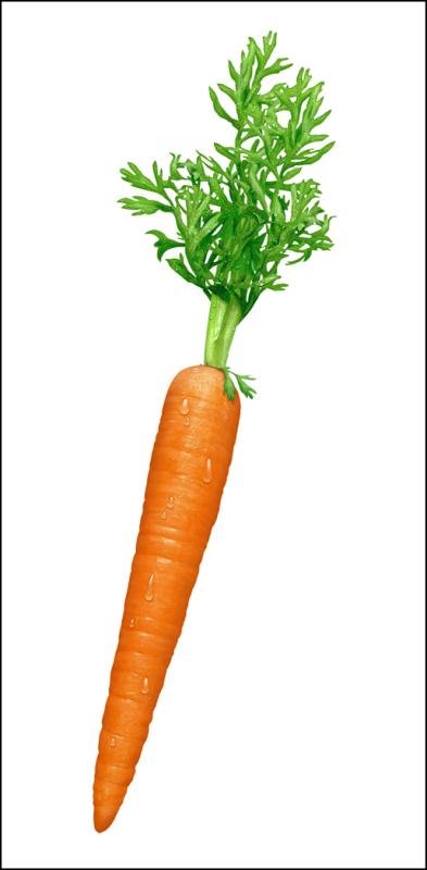 [Carrot.jpg]