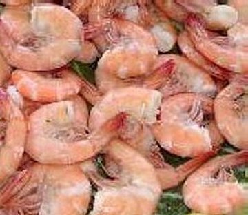 [shrimp.jpg]