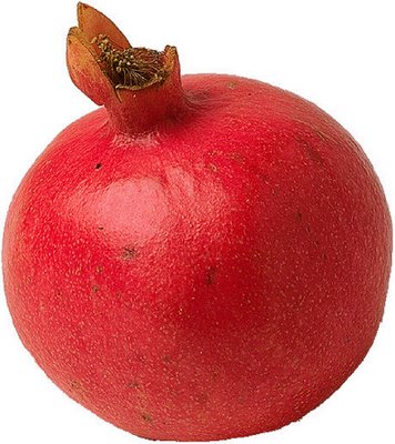 [pomegranate+ss.jpg]