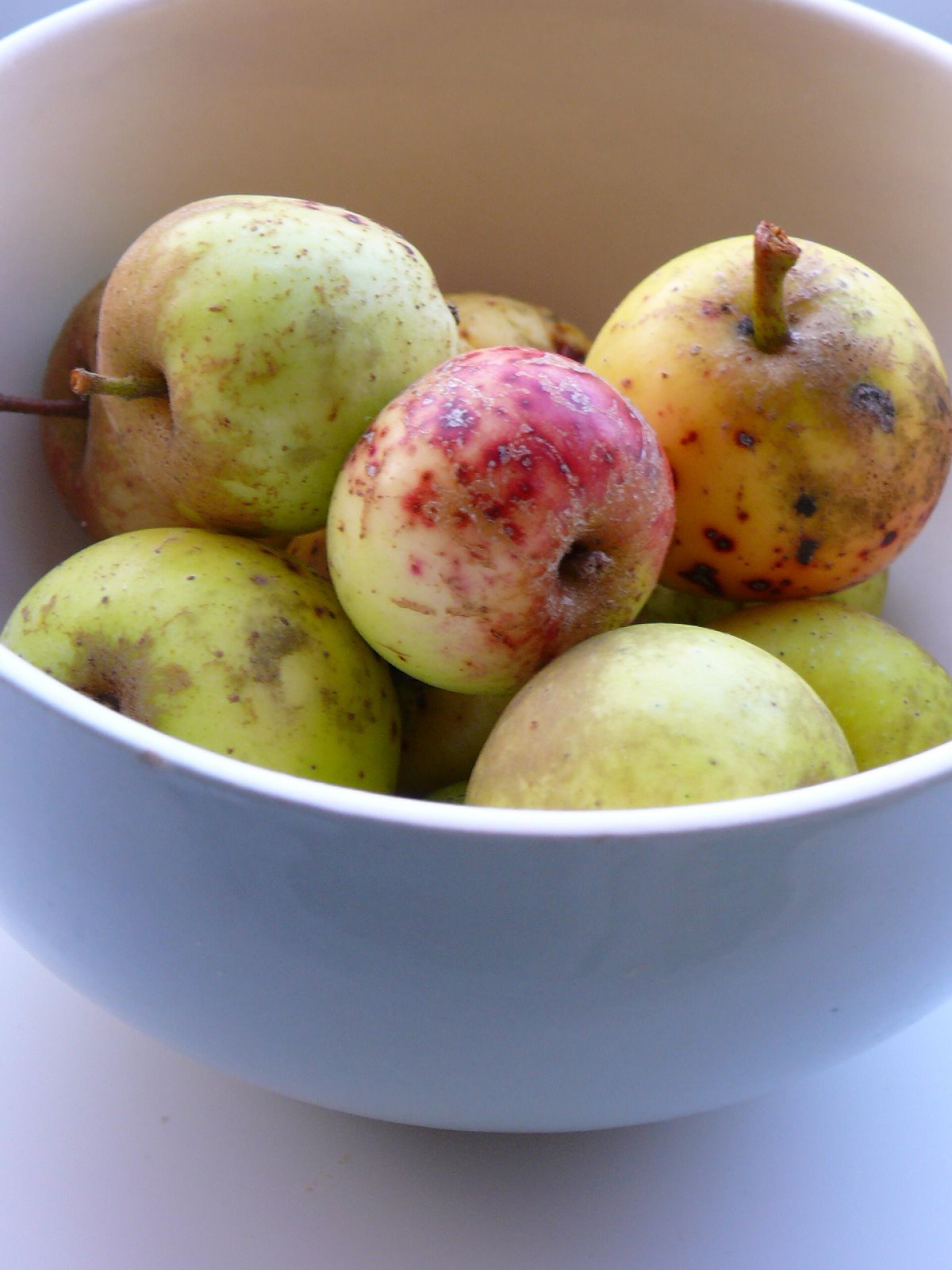 [bowl+of+apples.jpg]