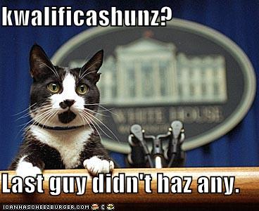 [funny-pictures-cat-makes-political-statement-744438.jpg]
