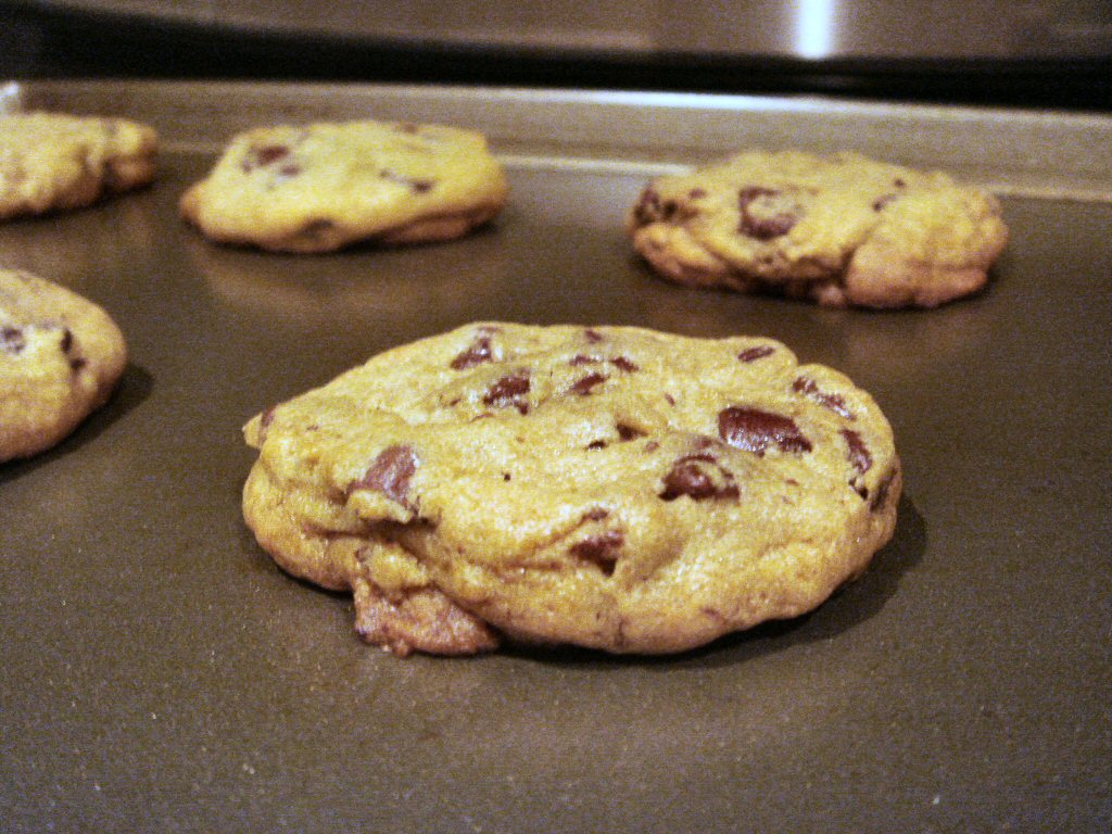 [cookie.JPG]