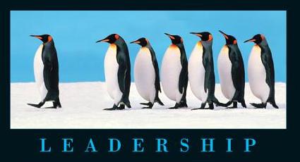 [leadership+penguins.jpg]