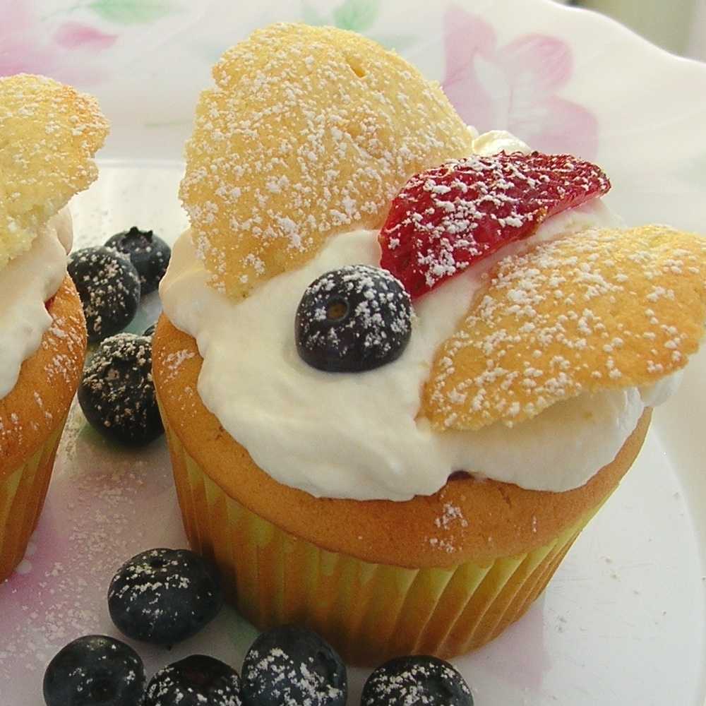 [Lemon+Butterfly+Cupcakes1a.jpg]
