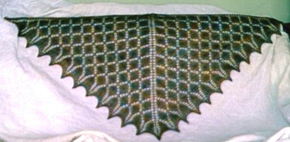 [finished+shawl.JPG]