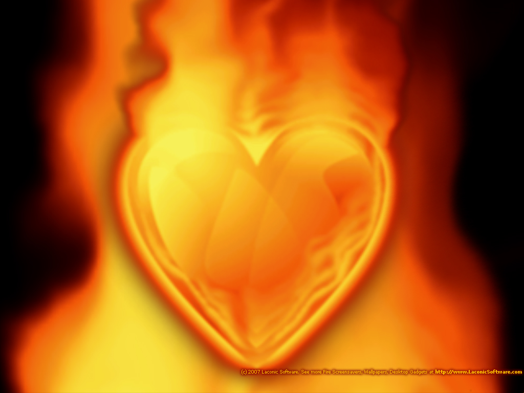 [heart-on-fire-wallpaper-1024x768.jpg]