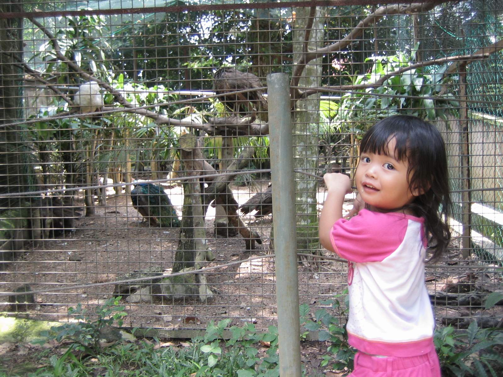 [2006_09_17+Iz+in+Zoo+burung.JPG]