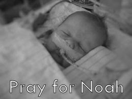 PRAY FOR NOAH