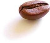 [Coffee+Bean.jpg]