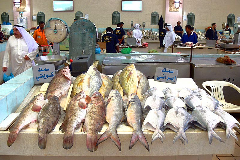 [Fish-Market-9.jpg]