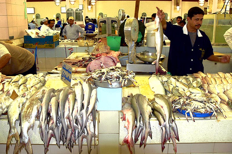 [Fish-Market-16.jpg]