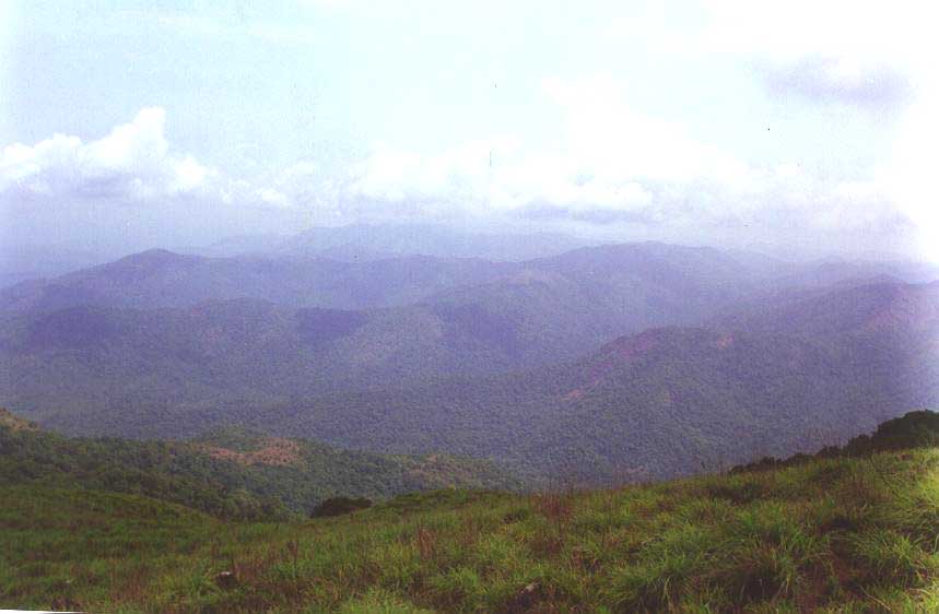 Rainforests of Pushpagiri wildlife sanctuary and forested hills of Hassan and Dakshina Kannada as seen from Girigadde below Kumara Parvata peak in Western Ghats