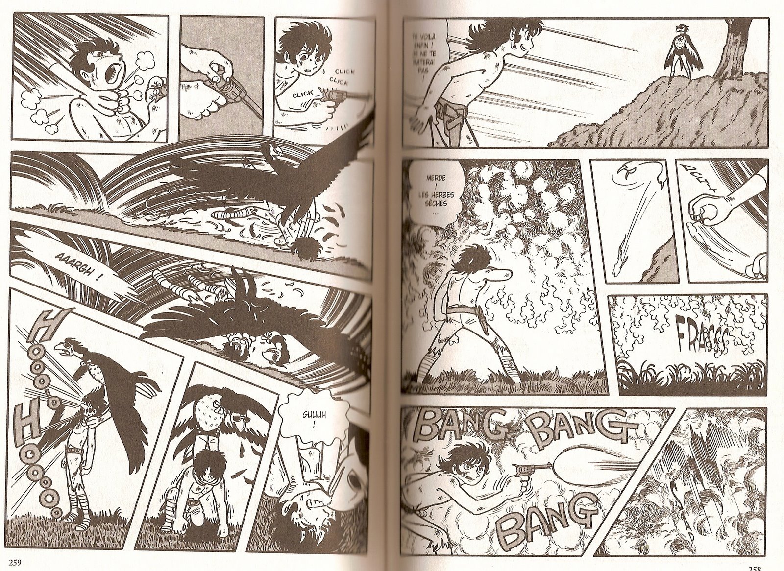 [Osamu+Tezuka+-+Demains+les+Oiseaux+page.jpg]