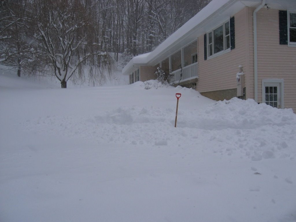 [2006-02-12+Shovel+in+snowstorm.JPG]