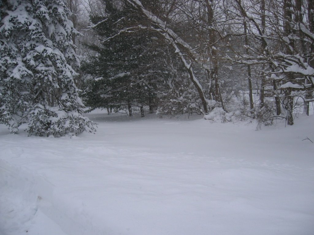 [2006-02-12+Snowstorm+3.JPG]