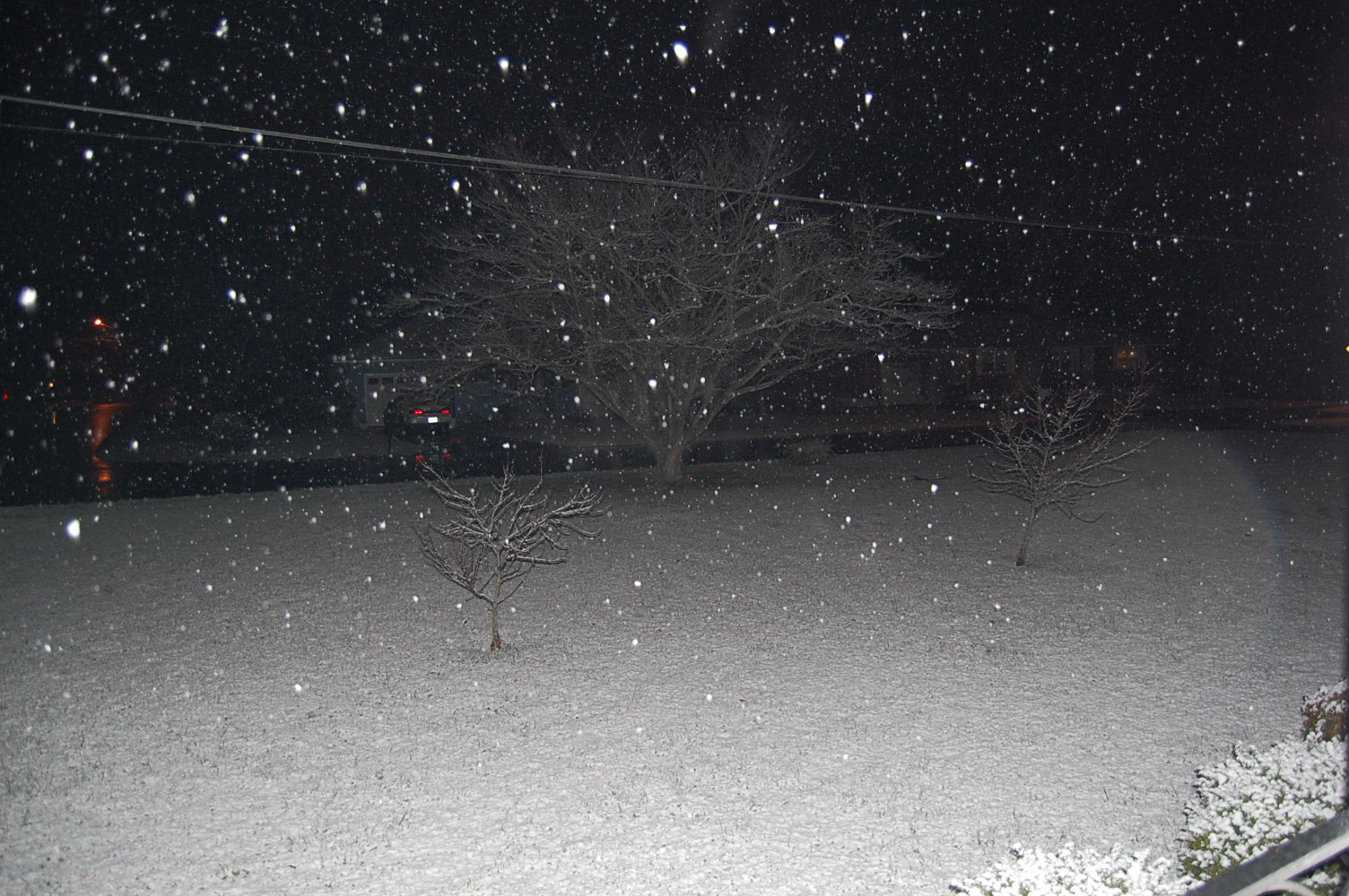 [Snow+08+036.JPG]