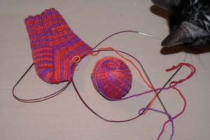 [socks+two+circular+needles.jpg]