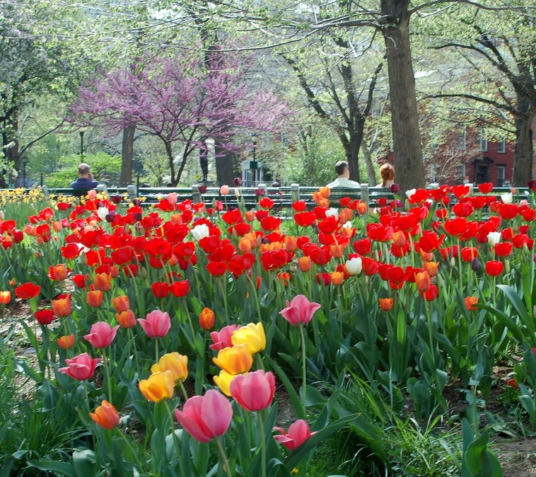 [Spring+in+Central+Park.bmp]