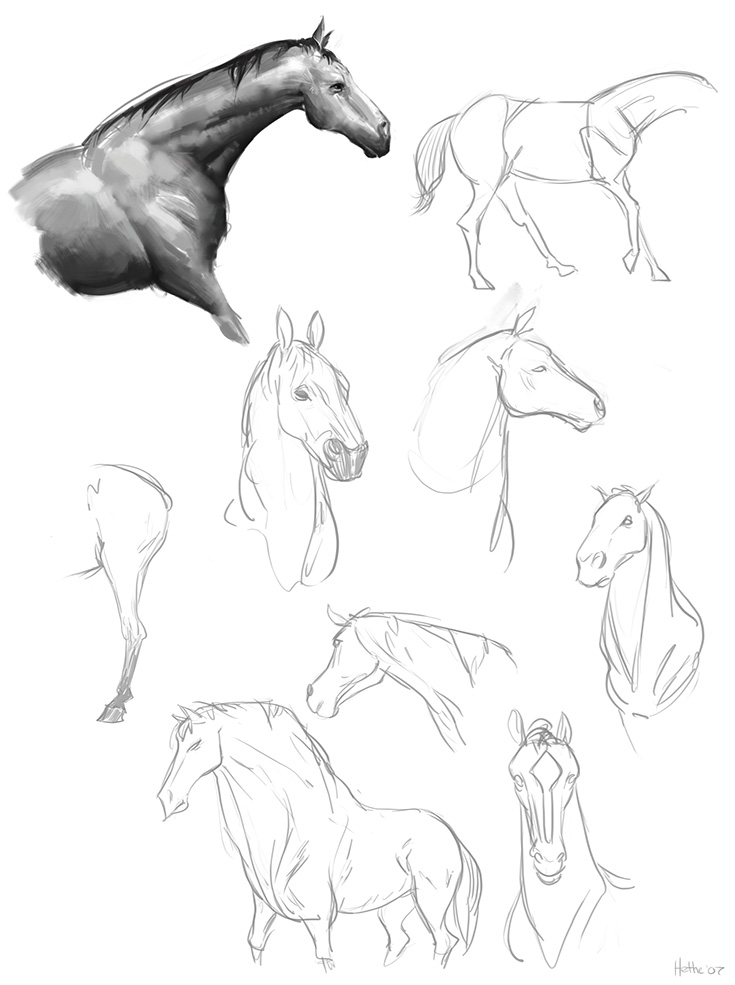 [horses.jpg]