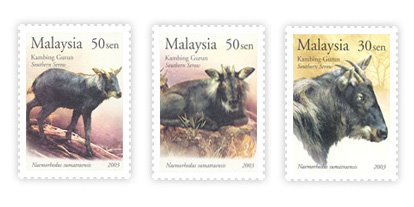 [SouthernSerow_Stamps.jpg]