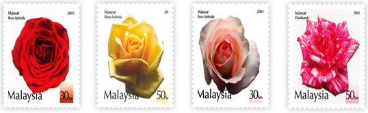 [MalaysiaRoses_Stamps.jpg]
