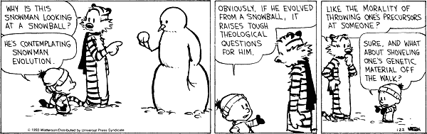 [snowman+evolution.gif]