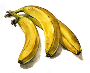 [bananazzzzzzzzz.jpg]