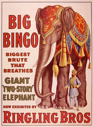 [0000-5296-4~Ringling-Brothers-Circus-Big-Bingo-the-Elephant-Posters.jpg]