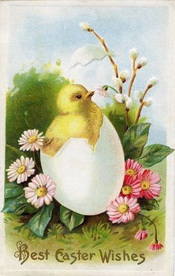 [Easter+chick+hatched+egg.JPG]