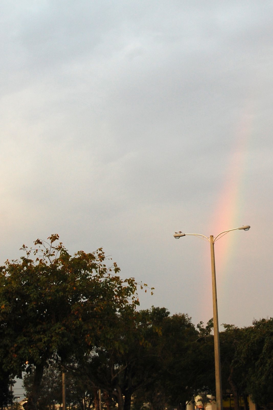 [Morning+Rainbow.jpg]