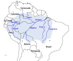 [250px-Amazon_river_basin.bmp]