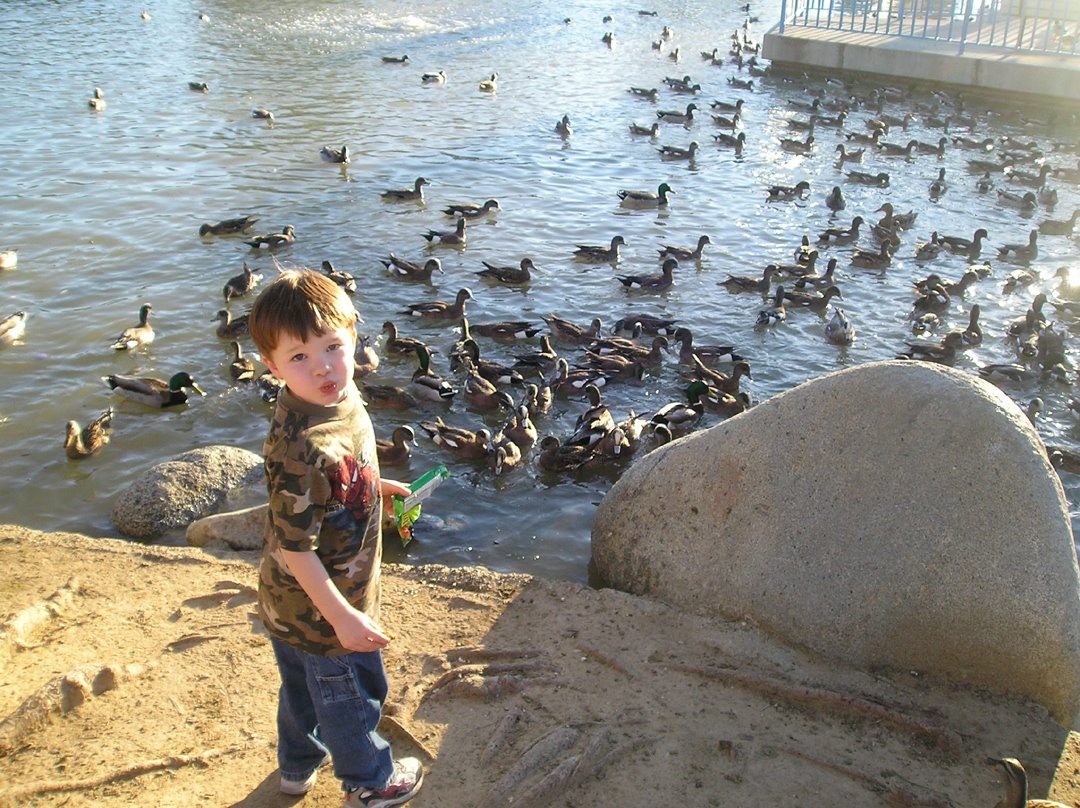 [Feeding+Ducks+Ben.jpg]