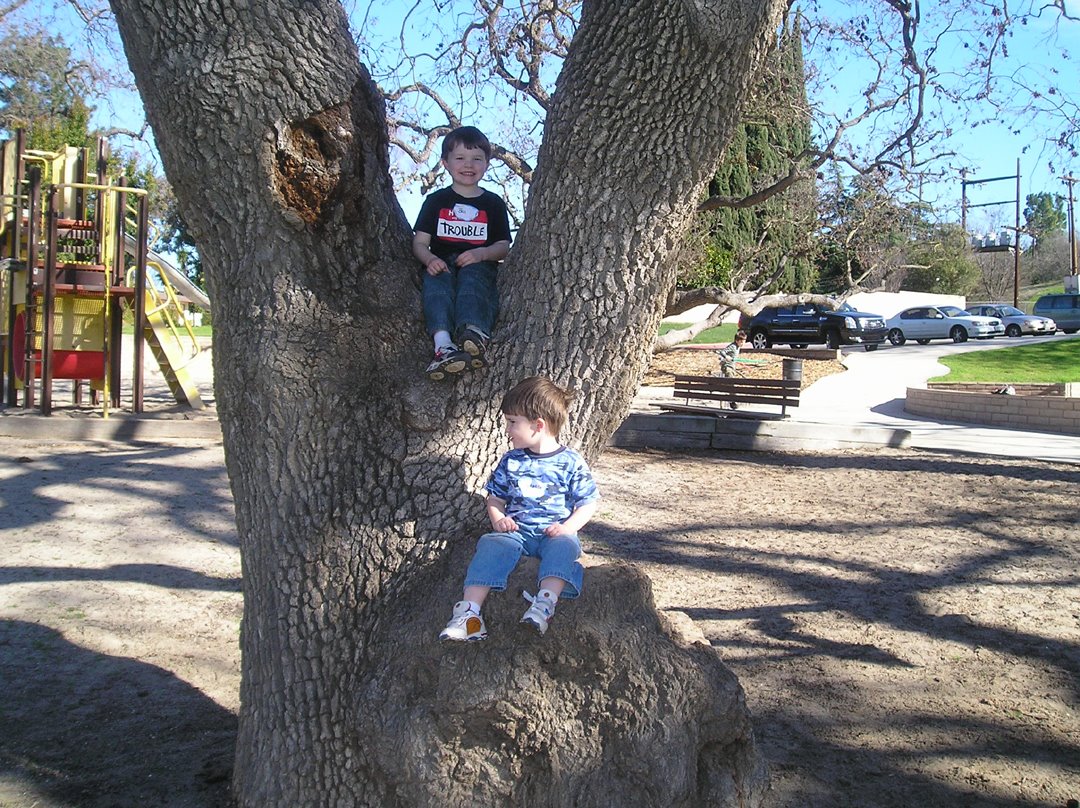 [Climbing+Trees+Ben+&+Nathan.jpg]