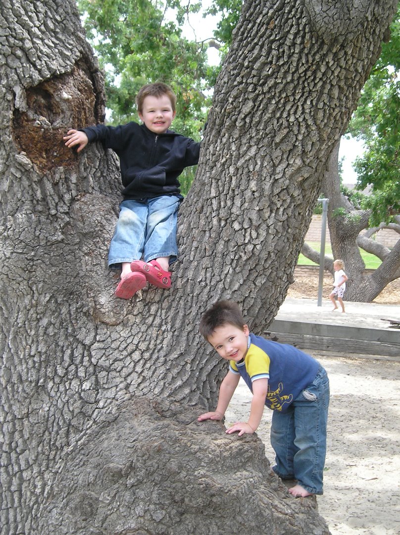 [Park+Ben+&+Nathan+Climbing+Tree.jpg]