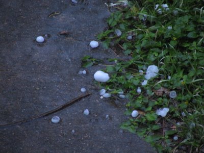 [hailstorm4-4.jpg]