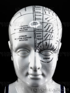 [phrenology-head.jpg]