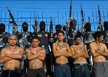 [Mexican_drug_gangs.jpg]