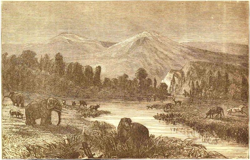 Landscape of the Pliocene Period