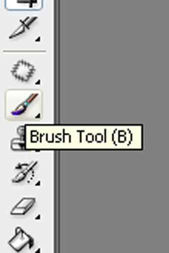 [brush.jpg]