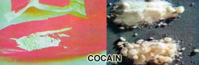 [08.+Jenis+Narkotika+Alami+&+sintetis+(Cocain).jpg]