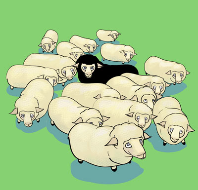 [one+black+sheep.jpg]