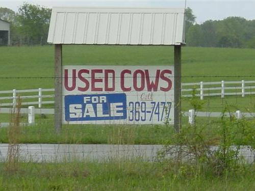 [used-cows-for-sale-sign.jpg]