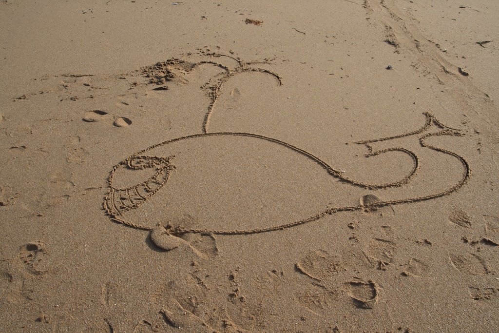 [baleine+sur+sable.jpg]