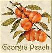 [georgia+peach+state.jpg]